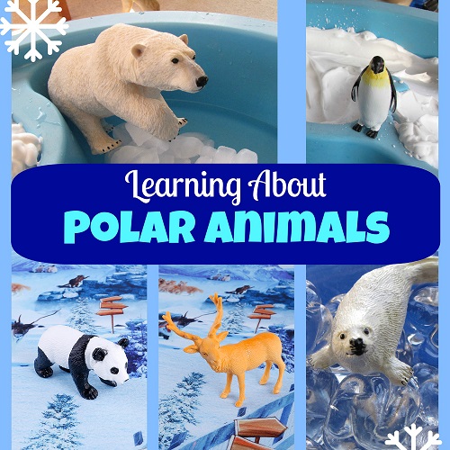 GINMIC Polar Animals Figurines Toys with Large Activity Play Mat